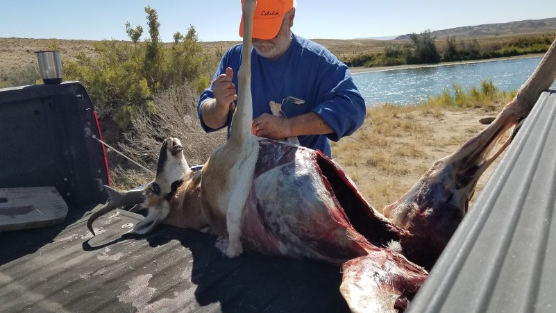 Skinning My Buck