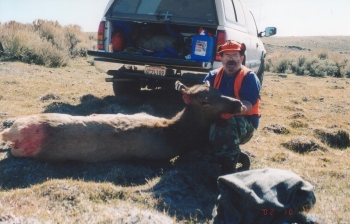 Bobs Cow Elk 2002