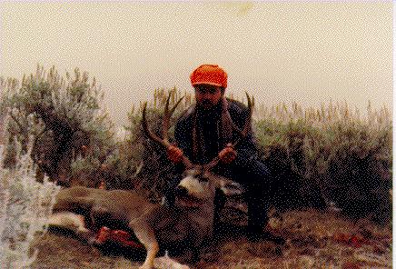 Ron's Deer 1989