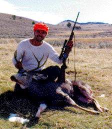 Ron's Deer 1993