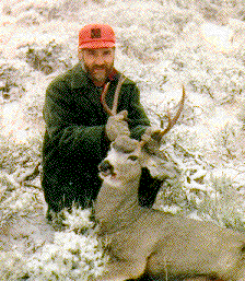 John's Deer 1996