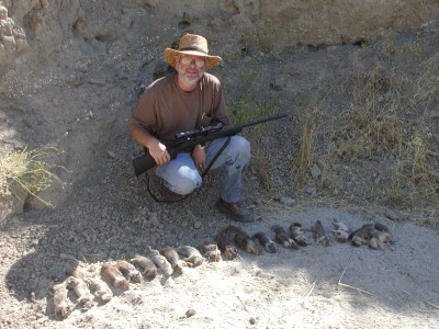 19 Ground Squirrels